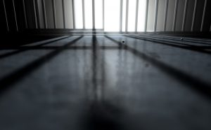 Bail Reform and Pretrial Detention